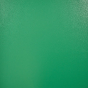 Линолеум спортивный коммерческий Tarkett Omnisports Action 40 Field Green