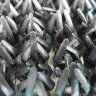 Щетинистое покрытие FinnTurf Metallic дизайн 24 серебро